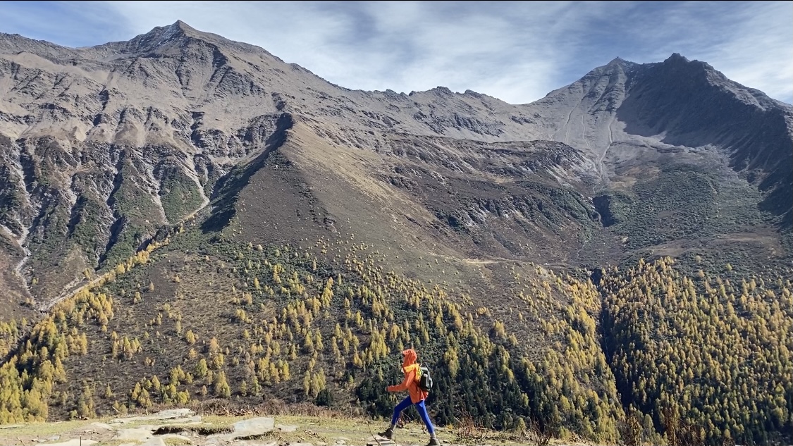 ks业务低价自助下单平台苏一